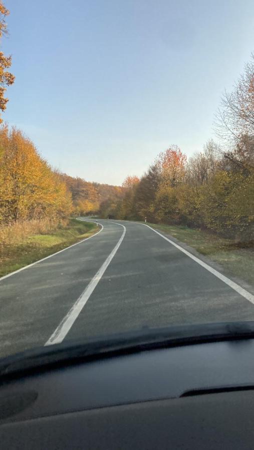 Villa Papuk Vocin Kültér fotó
