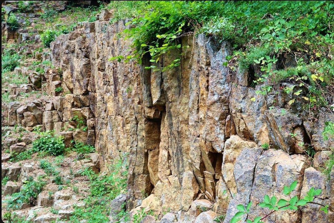 Villa Papuk Vocin Kültér fotó