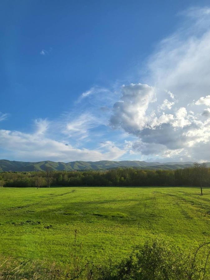 Villa Papuk Vocin Kültér fotó