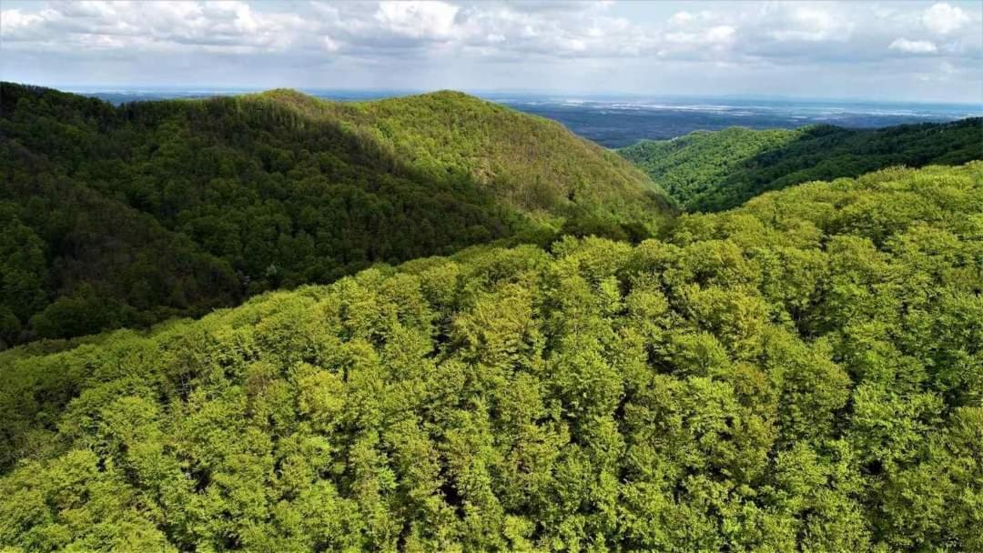 Villa Papuk Vocin Kültér fotó
